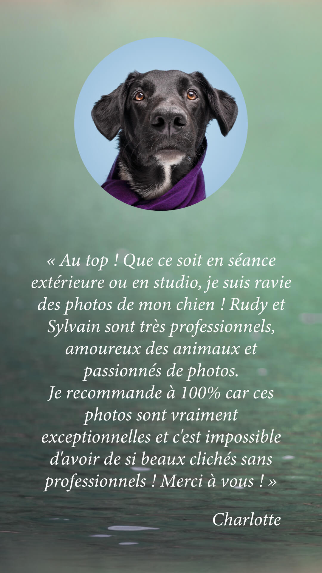 Témoignage client 2